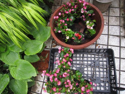 e0110940_8203882.jpg