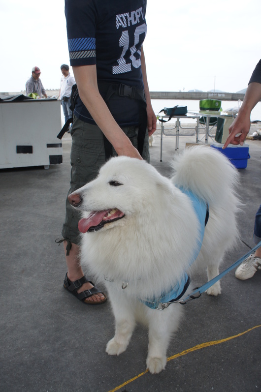 穴子オフ2012 その2_f0128542_9185536.jpg