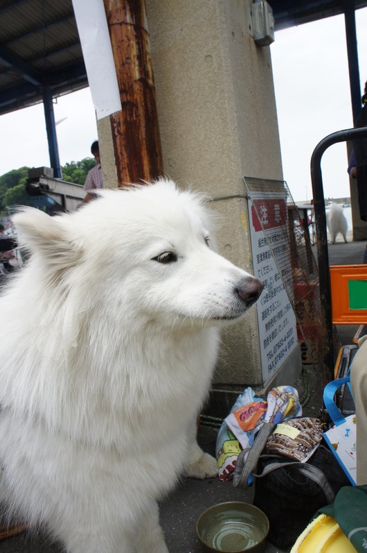 穴子オフ2012 その2_f0128542_9212260.jpg