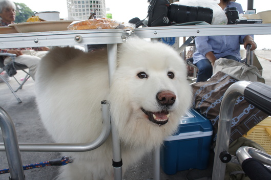穴子オフ2012 その2_f0128542_9331442.jpg