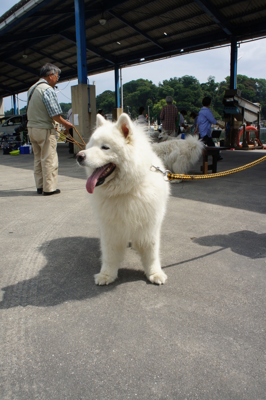 穴子オフ2012 その2_f0128542_93553100.jpg