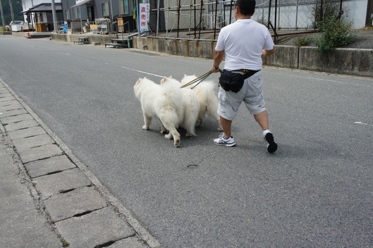 穴子オフ2012 その2_f0128542_9382163.jpg