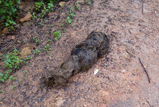 f0235252_21103626.jpg