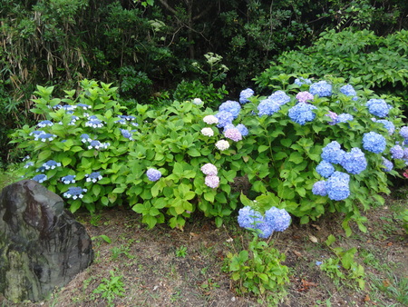 c0108460_12142260.jpg
