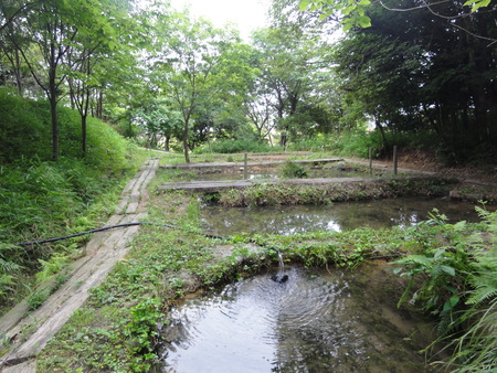 c0108460_1265060.jpg