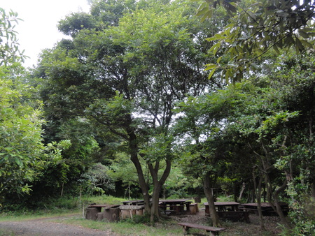 c0108460_1272277.jpg