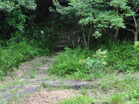c0108460_1274997.jpg