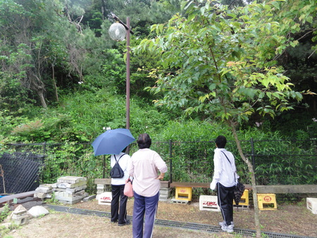 c0108460_1282088.jpg