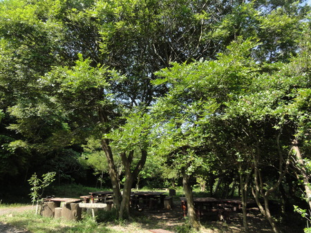 c0108460_15385494.jpg