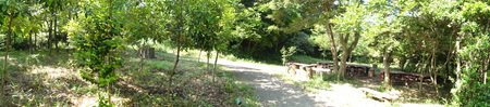 c0108460_15392479.jpg