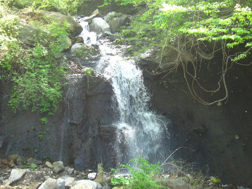 b0096163_19513.jpg