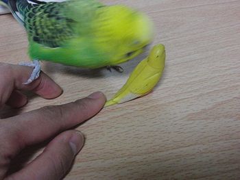 f0196665_01648.jpg