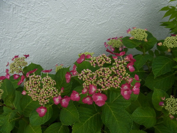 b0194267_22124498.jpg
