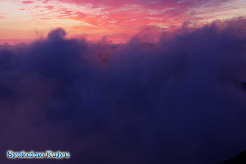f0173067_1236446.jpg