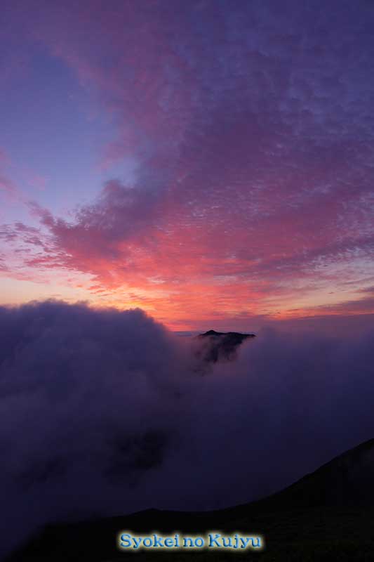 f0173067_12395640.jpg