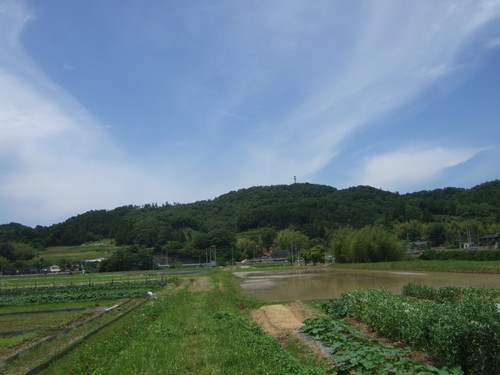 e0151471_9583263.jpg