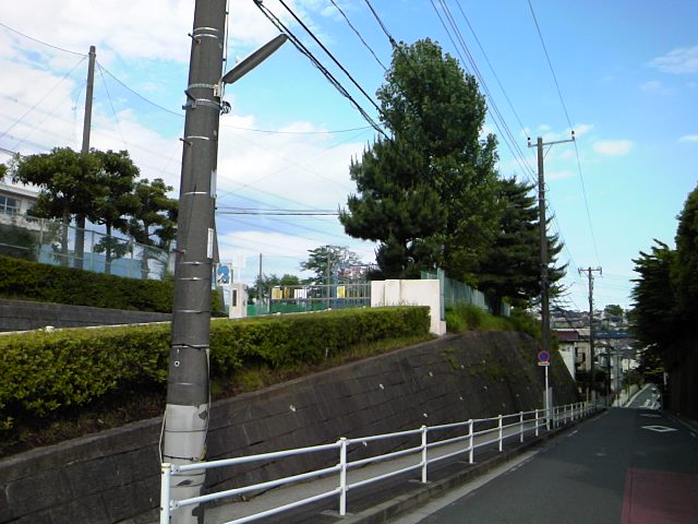 e0161872_07878.jpg