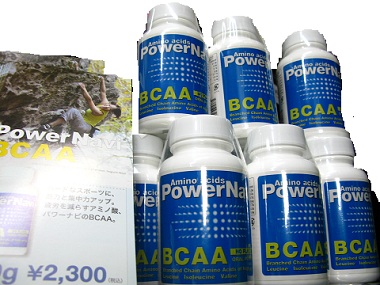 PowerNavi BCAA_d0246875_14203798.jpg