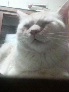 思春期の「お」抜き言葉_f0228680_922430.jpg