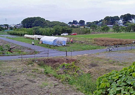 c0145581_1521185.jpg