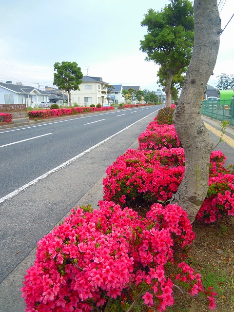 a0082884_1585423.jpg