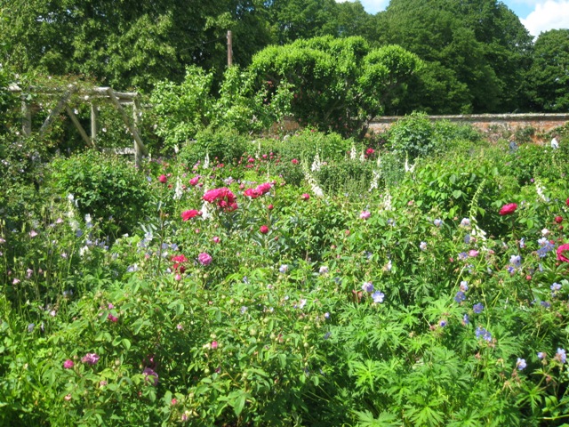 2012年薔薇色庭園モティスフォント 1_f0141785_1815613.jpg