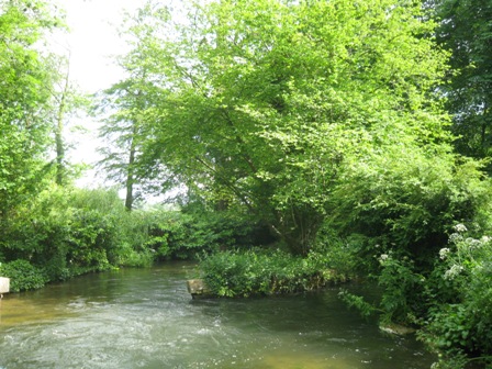 f0141785_18173044.jpg