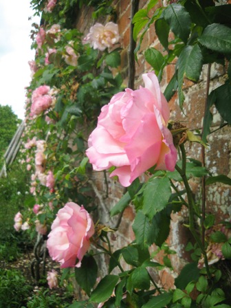 2012年薔薇色庭園モティスフォント 1_f0141785_1823083.jpg