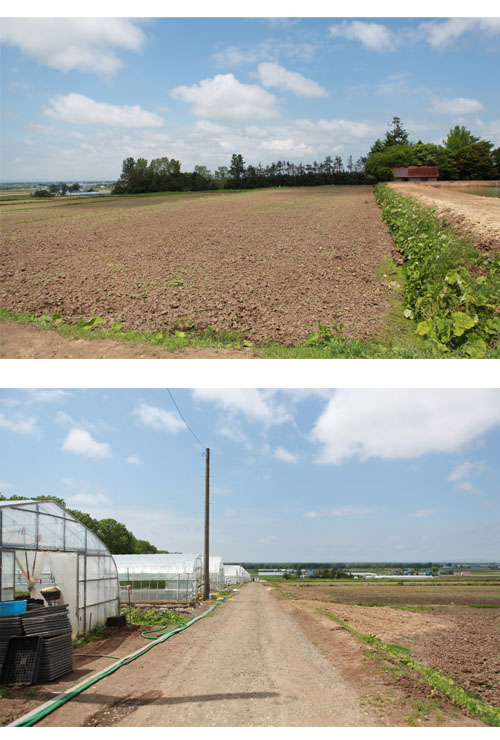 Oshitani Farmさん_f0127388_21483738.jpg