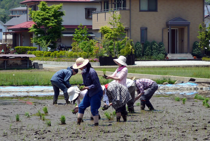 5月の田んぼ塾_a0263695_21171778.jpg