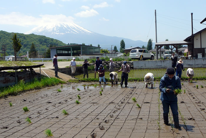 5月の田んぼ塾_a0263695_21173342.jpg