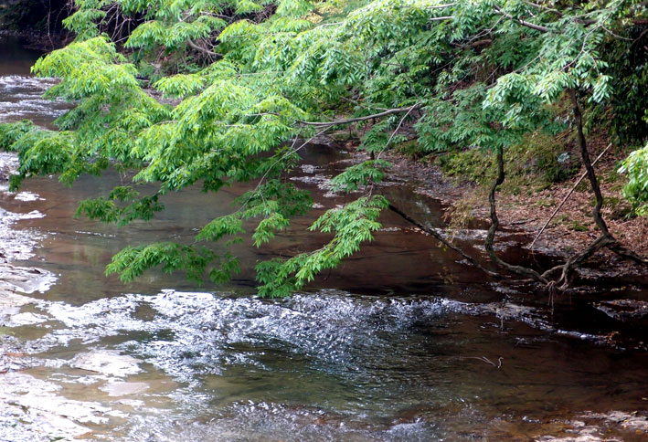 湯の瀬の川は昔も今も_b0145296_73812100.jpg