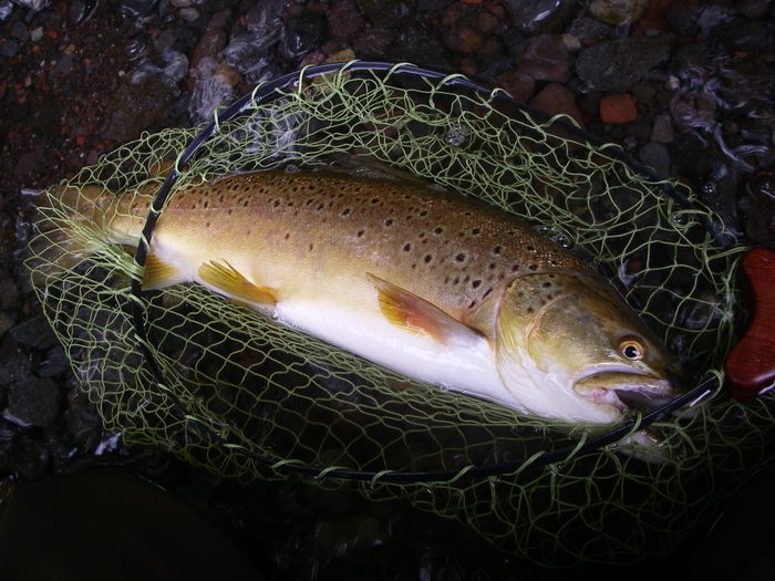 c0180802_23281630.jpg
