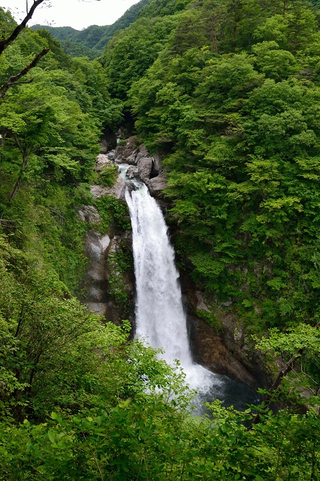 f0111308_1322681.jpg