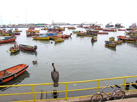b0051109_88892.jpg