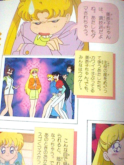 セーラーチーム公式ファンブック : アニメとフィギュアと