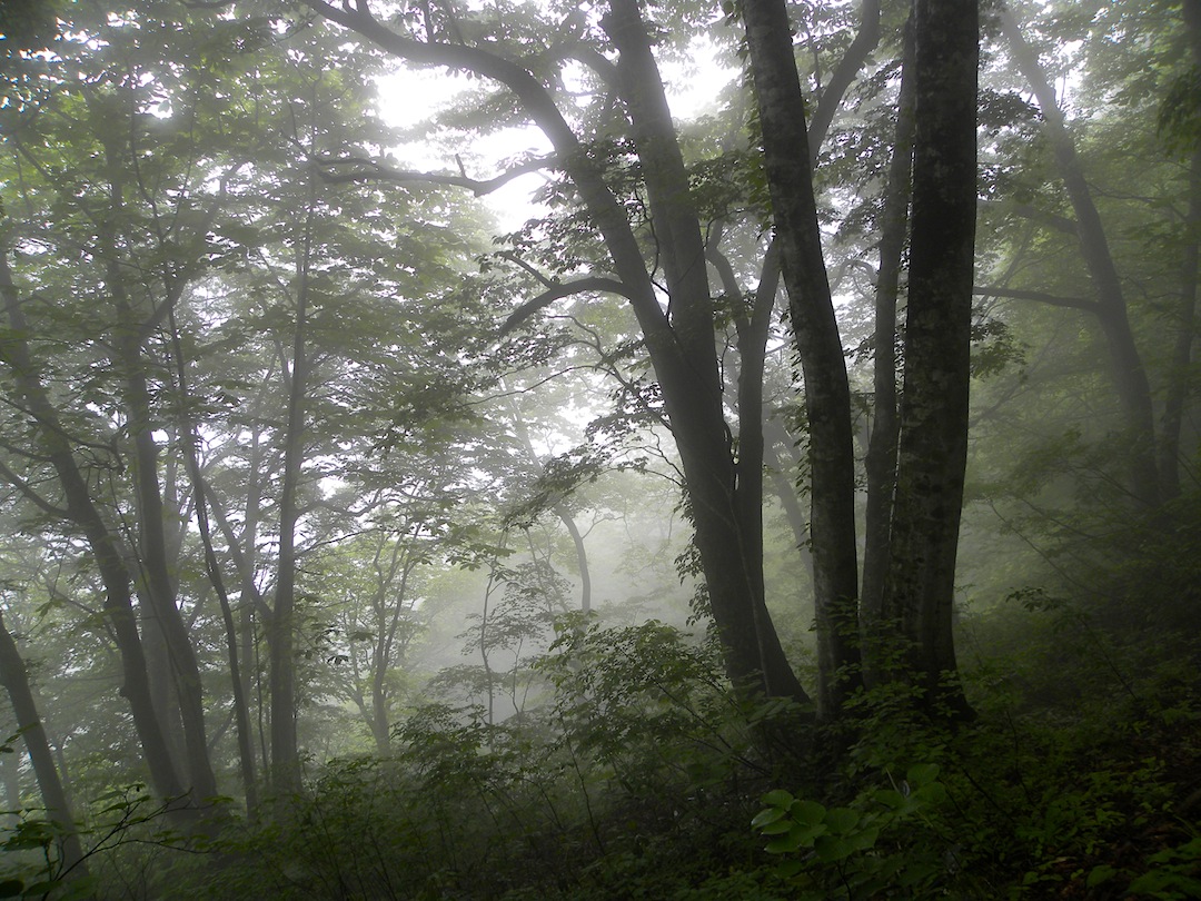 c0078410_23252772.jpg