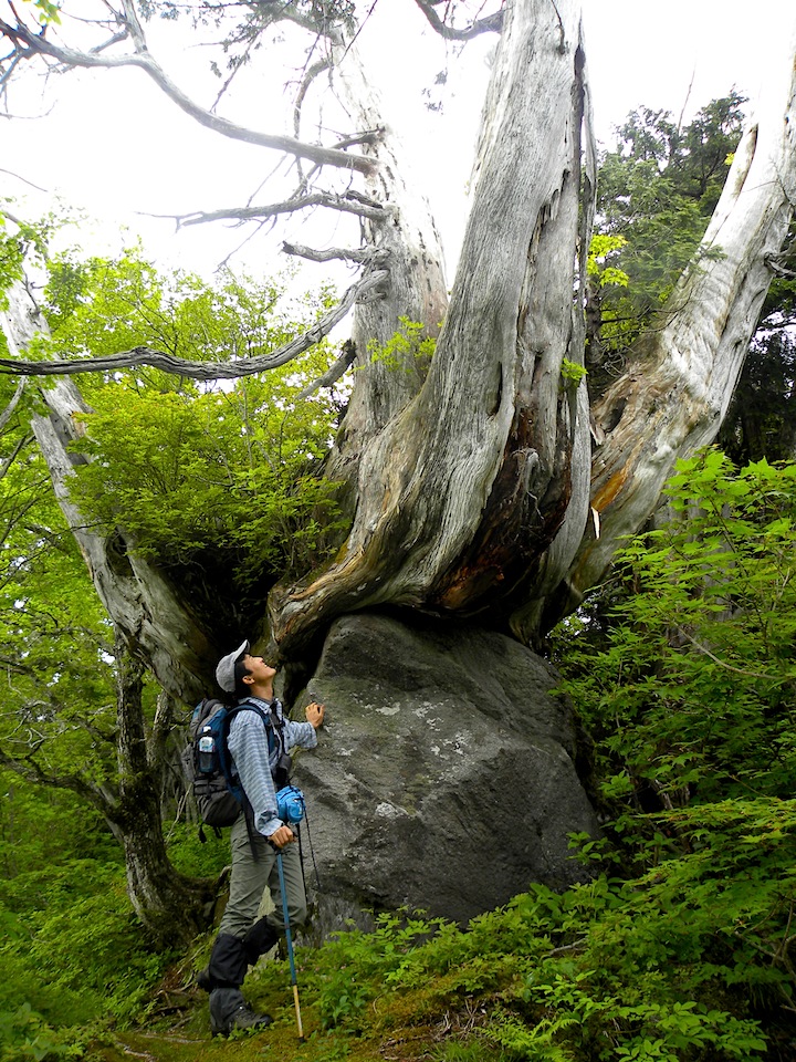 c0078410_23342232.jpg