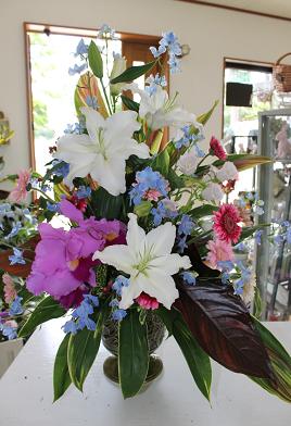 フェアー&会議のお花たち_d0227610_1993498.jpg