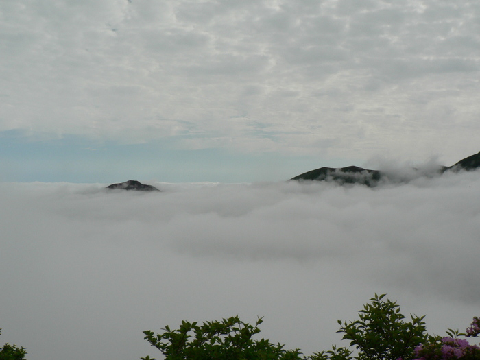 九重山(2)_f0219710_7205040.jpg