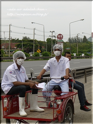 タイの軽井沢　（カオヤイ①）_b0172211_9571488.jpg