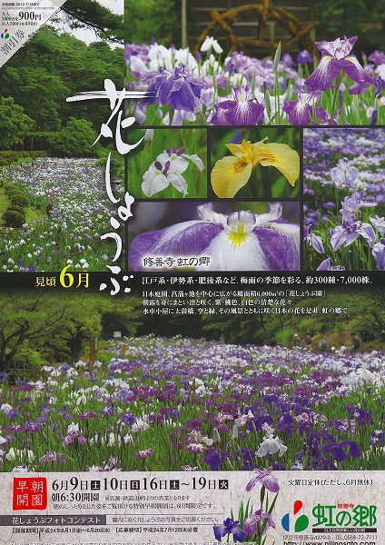 修善寺虹の郷の花しょうぶが見頃。_f0182513_23204334.jpg