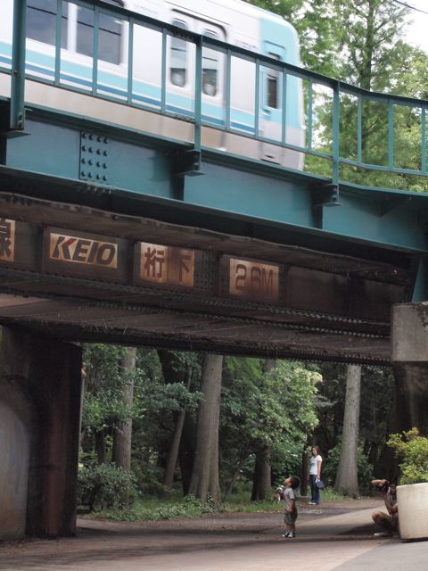a0151615_23252863.jpg
