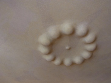 e0149215_0264291.jpg