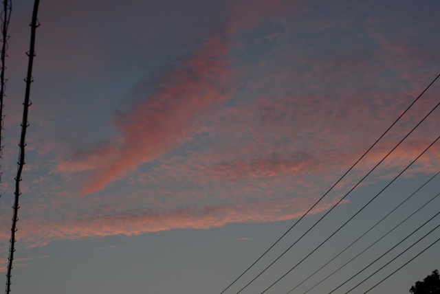 e0111217_22363091.jpg