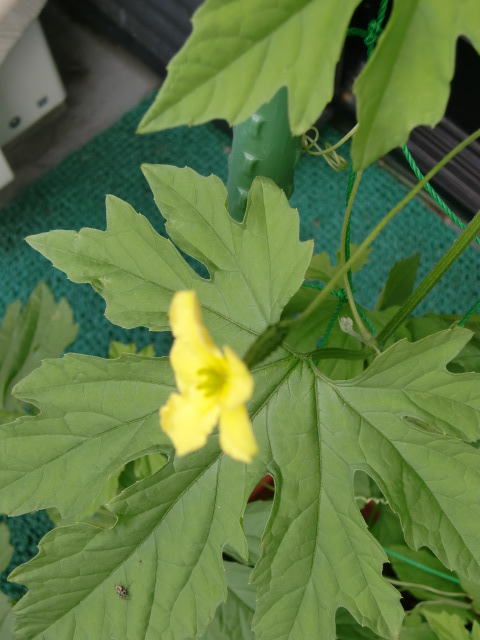 c0220724_23155139.jpg
