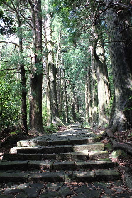 【6】バースデー旅行・・・和歌山 熊野古道 歩く！_e0071524_722548.jpg