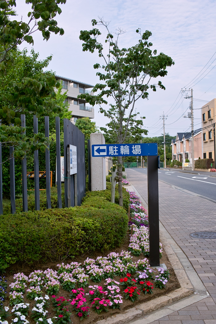 c0223825_7275926.jpg