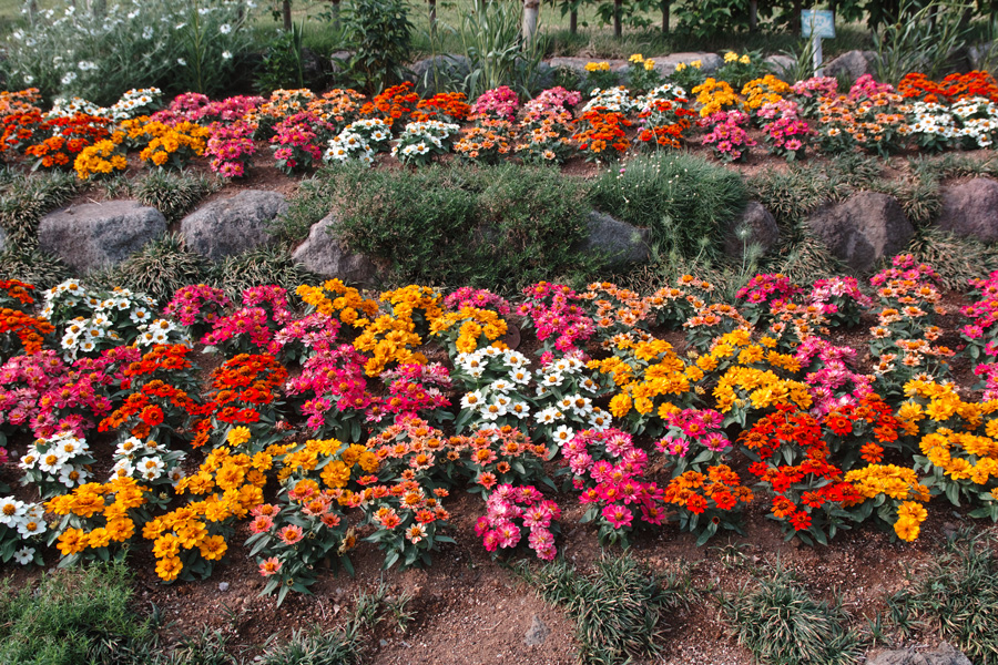 c0223825_7461869.jpg