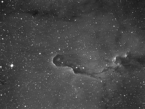 ケフェウス座散光星雲IC1396_c0061727_8292481.jpg